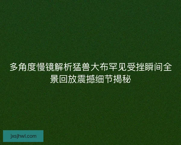多角度慢镜解析猛兽大布罕见受挫瞬间全景回放震撼细节揭秘